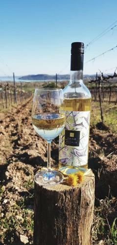 Hostal Koczor Winery & Guesthouse