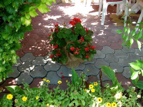 Hostal Veronika Villa