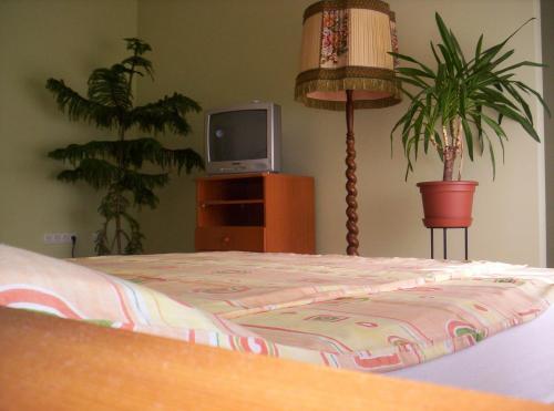 Anzsore Apartman