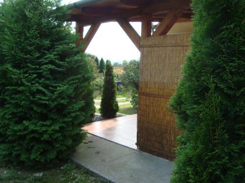 Anzsore Apartman