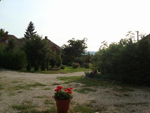Anzsore Apartman