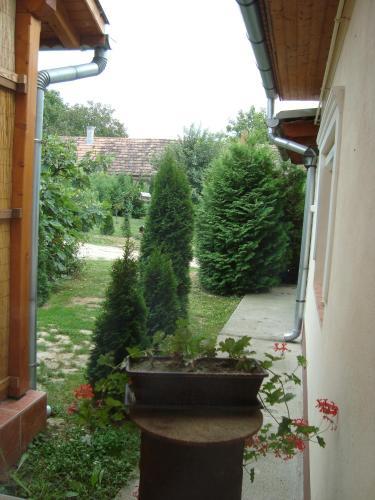 Anzsore Apartman