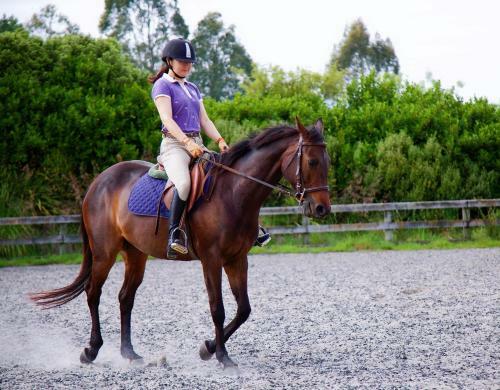 Bed & Breakfast Unique Equestrian Lifestyle