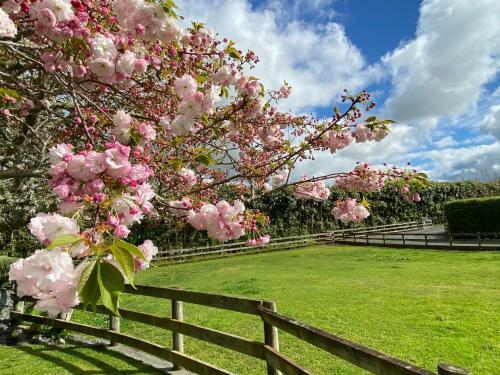 Bed & Breakfast Unique Equestrian Lifestyle