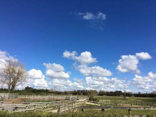 Bed & Breakfast Unique Equestrian Lifestyle
