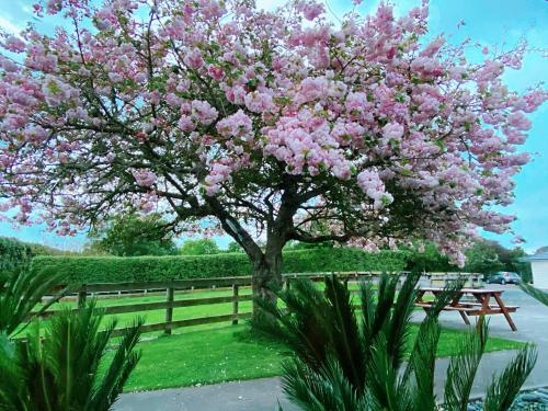 Bed & Breakfast Unique Equestrian Lifestyle