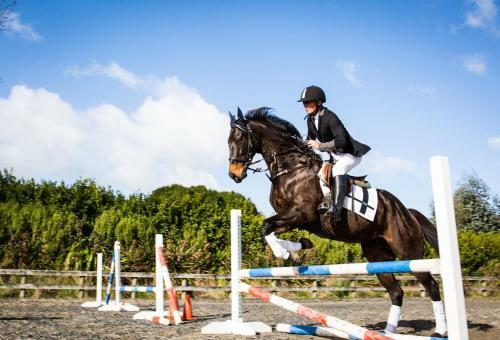 Bed & Breakfast Unique Equestrian Lifestyle