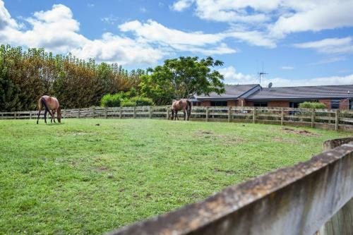 Bed & Breakfast Unique Equestrian Lifestyle