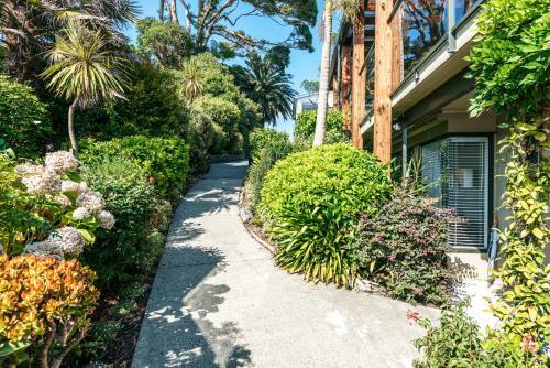Fig Tree Apartment