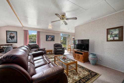 Serengeti On East - Greytown Holiday Home