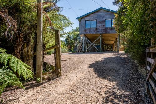 Franks Treehouse - Waiheke Holiday Home