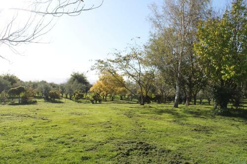 Olive Estate - Martinborough Holiday Home