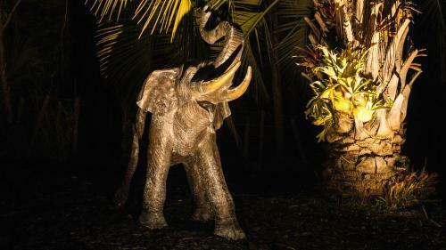 Apartamento Ember Rock - Elephant Junction