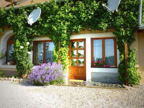 Hostal Dorka Vend�gh�z