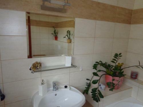 Nyirfa Apartmanh�z