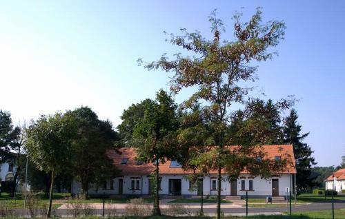 Bed & Breakfast Vadkert Major
