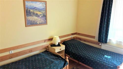 Hotel Vikt�ria