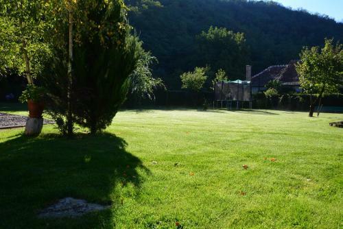 Bodza Vend�gh�z - Apartmanh�z
