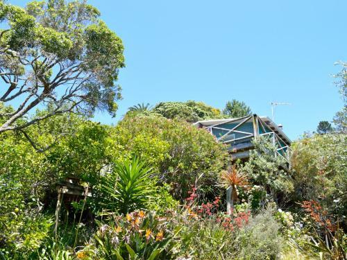 Campbell Lodge - Hahei Holiday Home