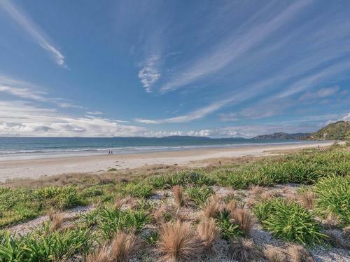 Absolute Beachfront Matarangi - Matarangi Holiday Home
