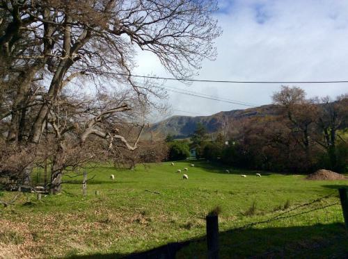 Shiloh - Diamond Harbour Holiday Home
