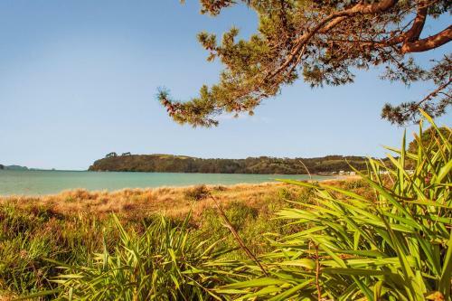 Beachfront Bliss - Cooks Beach Holiday Home
