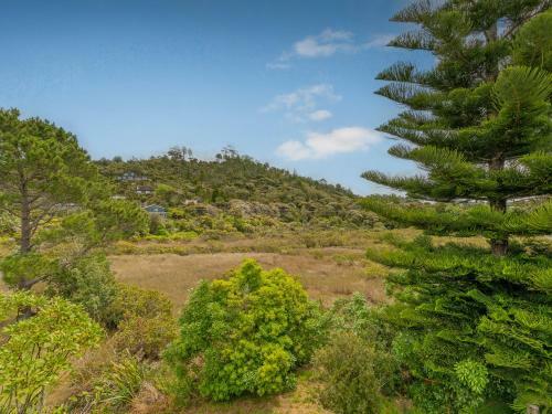 Recharge On Riverview - Cooks Beach Holiday Home
