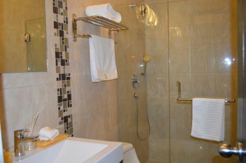 Hotel Crowner David