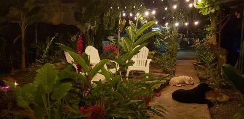 Calipso Over The Sea B&B