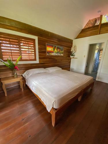 Hotel Dolphin Blue Paradise