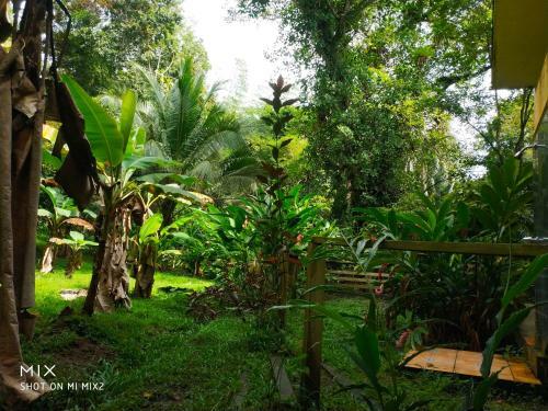 Hostal Mission Villas, Big Creek, Isla Colon, Bocas Del Toro, Panama