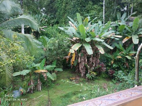 Hostal Mission Villas, Big Creek, Isla Colon, Bocas Del Toro, Panama