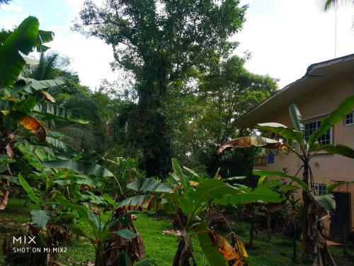 Hostal Mission Villas, Big Creek, Isla Colon, Bocas Del Toro, Panama