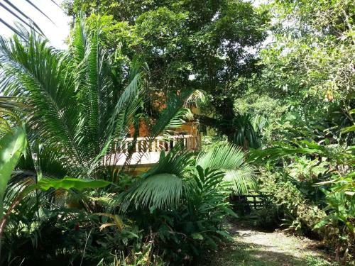 Hostal Mission Villas, Big Creek, Isla Colon, Bocas Del Toro, Panama
