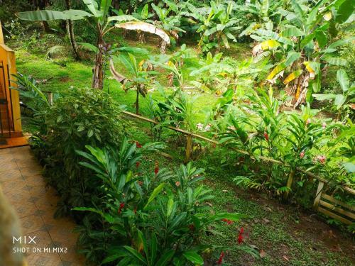 Hostal Mission Villas, Big Creek, Isla Colon, Bocas Del Toro, Panama