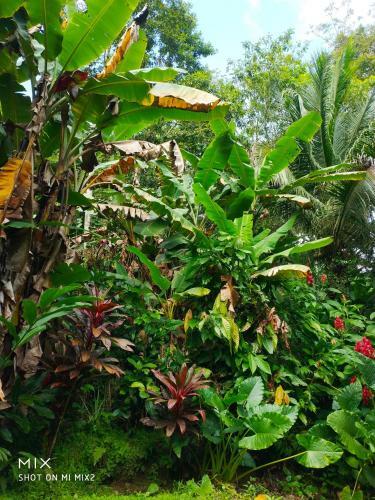 Hostal Mission Villas, Big Creek, Isla Colon, Bocas Del Toro, Panama