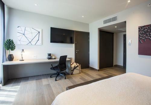 Hotel Hampton By Hilton David, Panam�