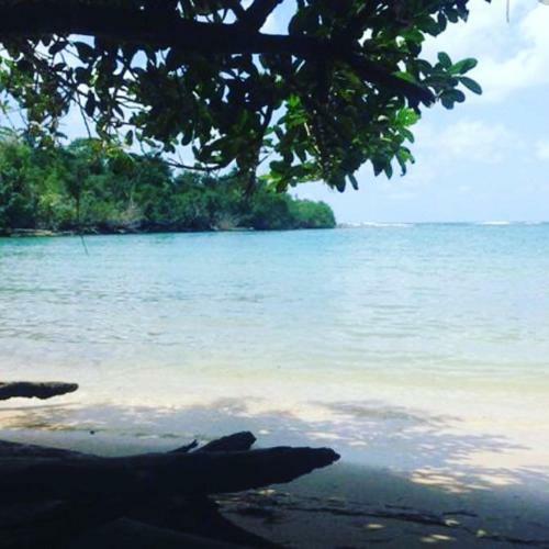 Hostal Cataleya Hostel, Bocas Del Toro
