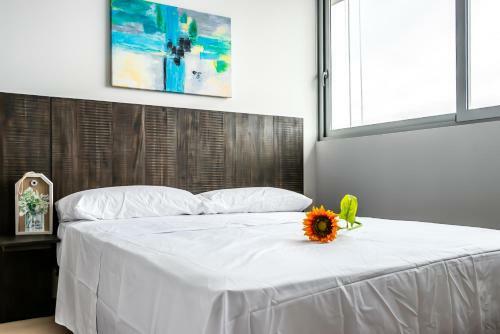 Apartamento Quartierhomesuites Impresive Ocean View