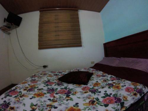 Hostel Bulaba