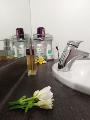 Apartamento Fare Manava
