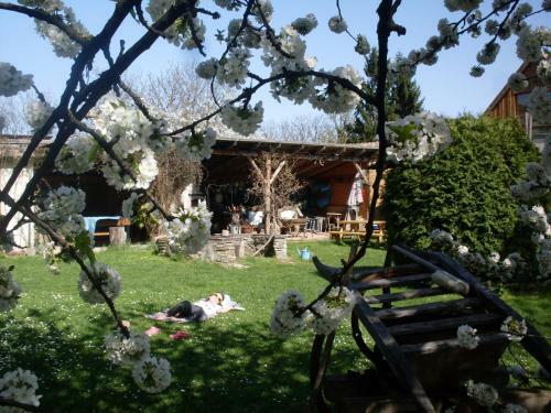 Hostal Nagy Vend�gh�zak
