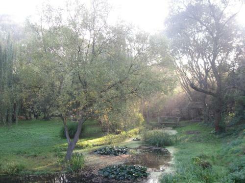 Bed & Breakfast Villa Rigo Panzi�