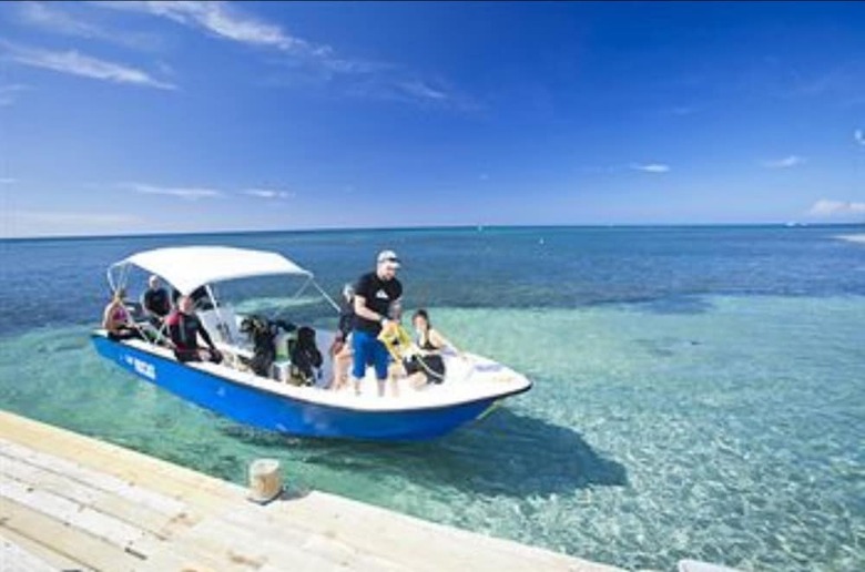 Hotel Las Rocas Resort And Dive Center