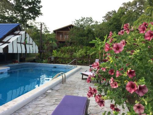 Hostal Guava Grove