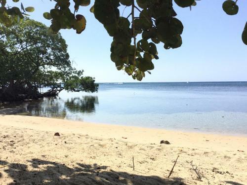 Hostal Guava Grove