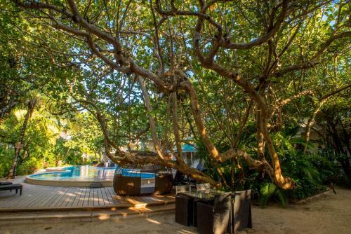 Paradise Beach Hotel