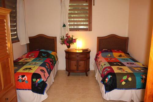 Lodge Villas Pico Bonito