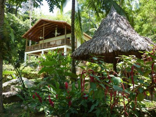 Lodge Villas Pico Bonito