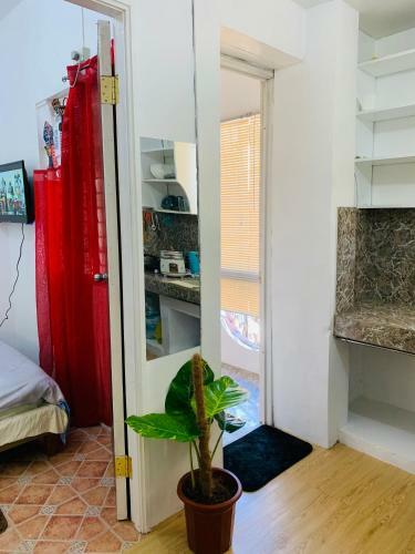 Apartamento 3kj Store